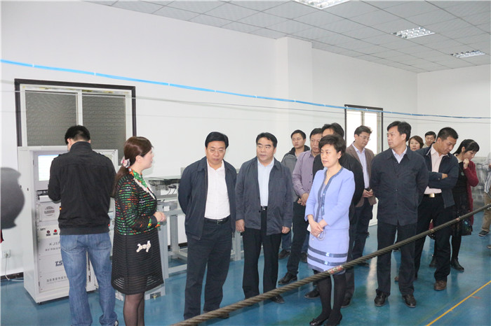 洛陽市市長及各導來洛陽老司机黄色视频調研考察