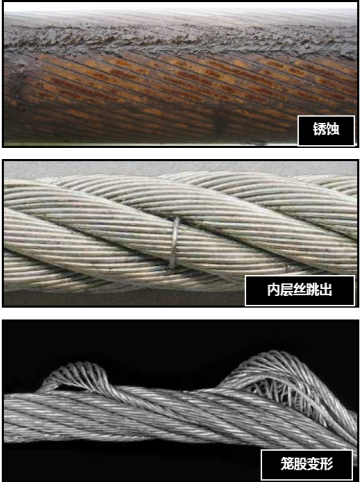 老司机黄污APP下载